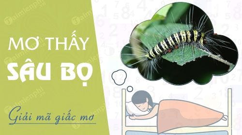 Con sâu số mấy ? Nằm mơ thấy sâu róm, sâu bọ đánh đề con gì ?