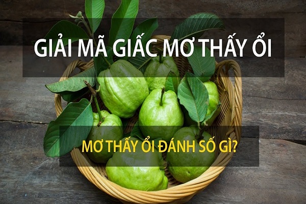 Mơ thấy quả ổi đánh con gì? Giải mã mơ thấy ổi chín