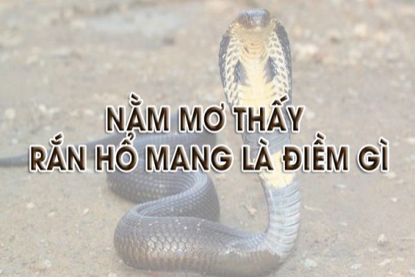 Mơ thấy rắn hổ mang đánh con gì? Điềm gì?